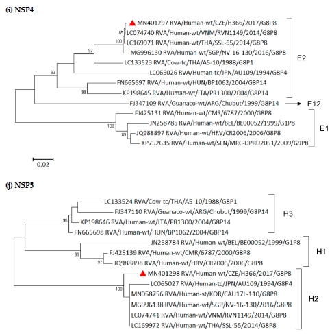 Emergence of Rare Bovine–Human Reassortant DS-1-Like Rotavirus A Strains with G8P[8] Genotype in Human Patients in the Czech Republic